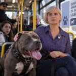 Naša stranka postavlja novo pitanje: Da li će psim biti dozvoljen ulazak u tramvaje