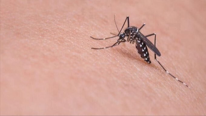Opasan virus hara u bh. susjedstvu