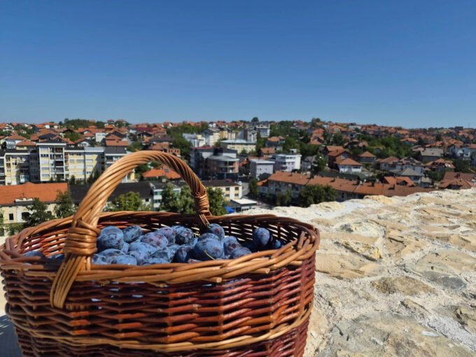 Završen trodnevni Sajam šljive u Gradačcu