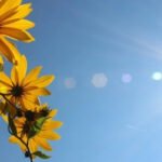 Sunčana nedjelja pred promjenu vremena, temperatura do 31 stepen