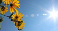 Sunčana nedjelja pred promjenu vremena, temperatura do 31 stepen