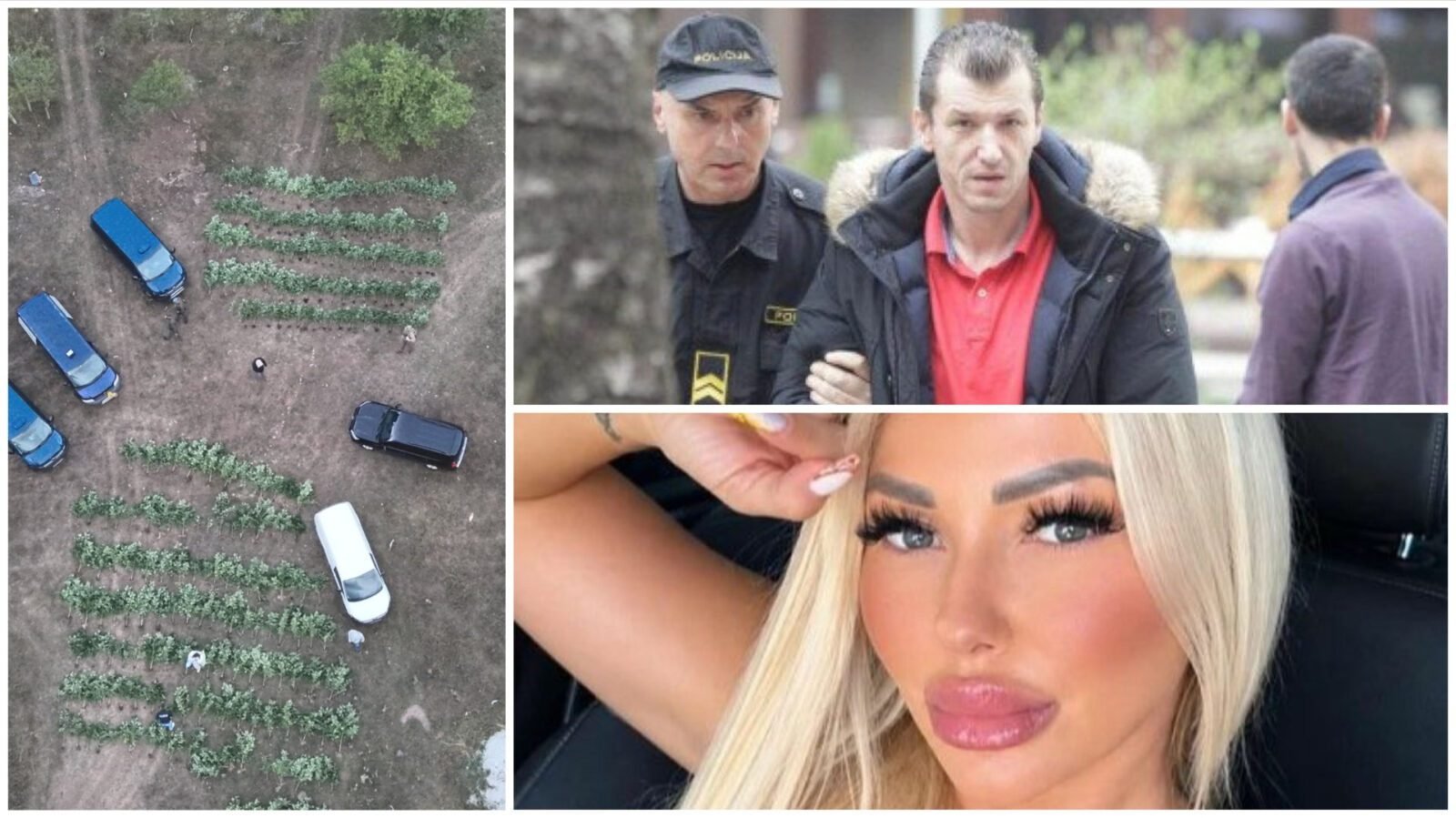 Poznat identitet još dvije osobe uhapšene sa Šišmišom i Jelenom Hribar-Hadžić
