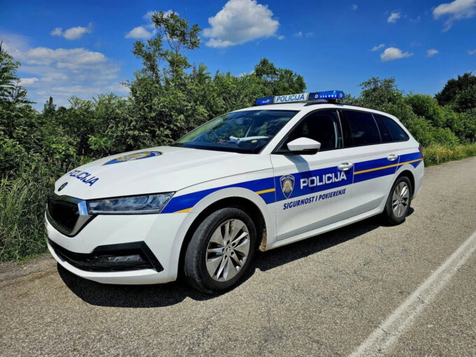 Ženi izrečena presuda zbog napada protezom i ciglom na partnera