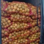 Spriječen nezakonit unos 4,5 tona mandarina iz Hrvatske u BiH, vozaču prekršajni nalog