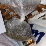 Policija pronašla kanabis skriven u kući 53