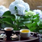 Kafa ili čaj: Koji napitak donosi bolje koristi za crijeva, srce i mozak?