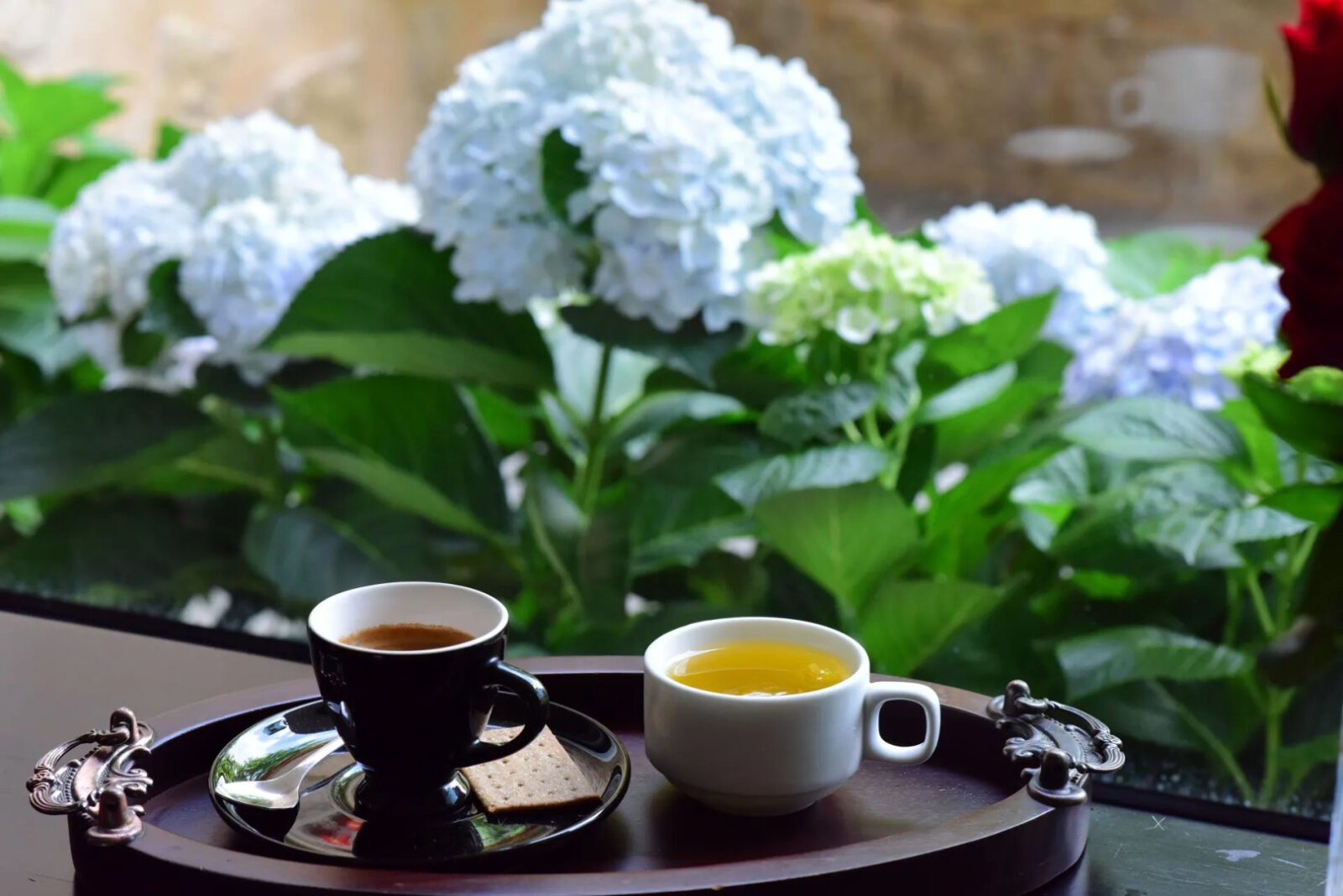 Kafa ili čaj: Koji napitak donosi bolje koristi za crijeva, srce i mozak?